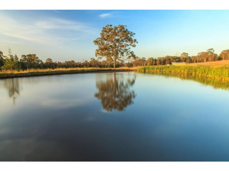 319 Deasys Road, Pokolbin NSW 2320