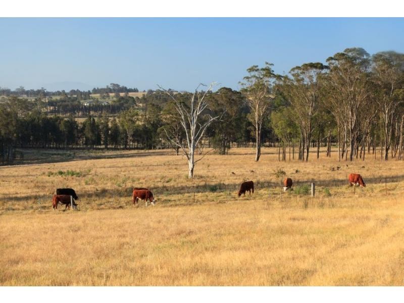 319 Deasys Road, Pokolbin NSW 2320