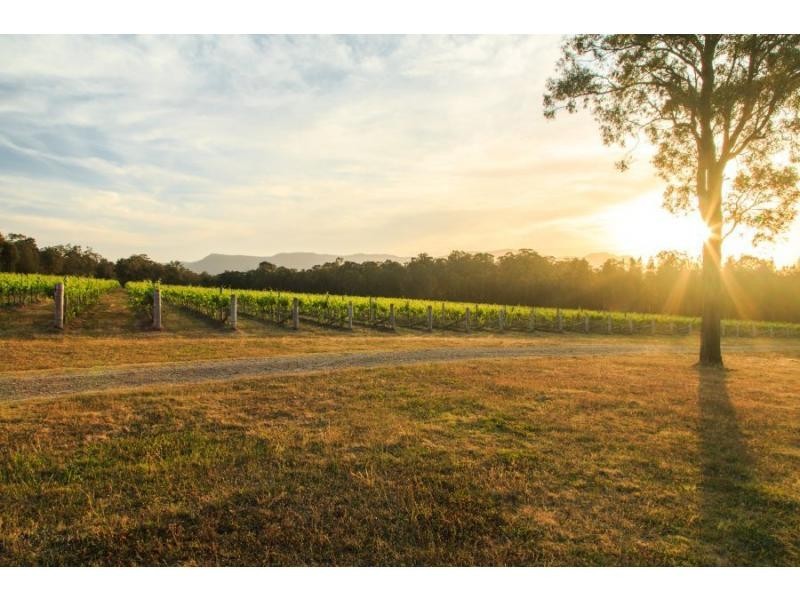 319 Deasys Road, Pokolbin NSW 2320