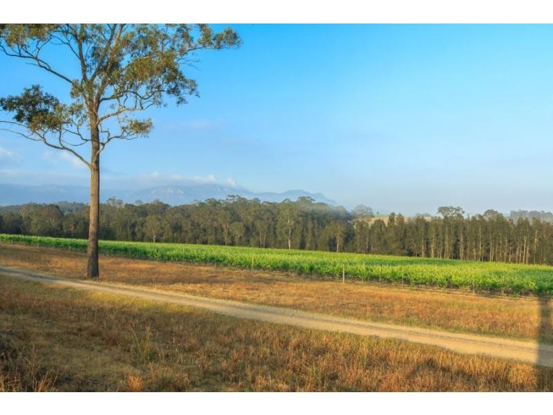 319 Deasys Road, Pokolbin NSW 2320