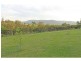 1516 Mount View Road, Mount View NSW 2325