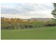 1516 Mount View Road, Mount View NSW 2325