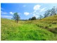 59 Mitchells Road, Mount View NSW 2325