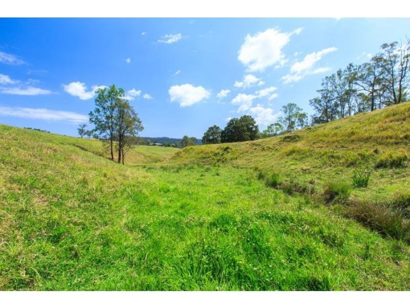 59 Mitchells Road, Mount View NSW 2325