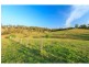 59 Mitchells Road, Mount View NSW 2325