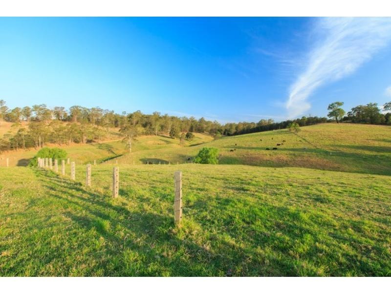 59 Mitchells Road, Mount View NSW 2325