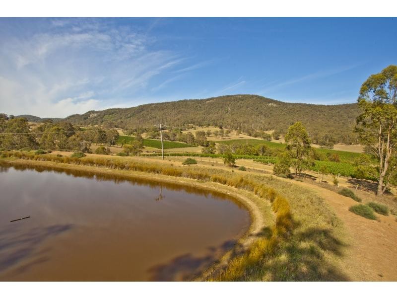 299 Marrowbone Road, Pokolbin NSW 2320
