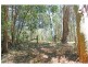 1433 Leggetts Drive, Brunkerville NSW 2323
