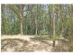 1433 Leggetts Drive, Brunkerville NSW 2323