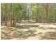 1433 Leggetts Drive, Brunkerville NSW 2323