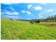 59 Mitchells Road, Mount View NSW 2325