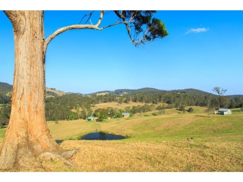 59 Mitchells Road, Mount View NSW 2325