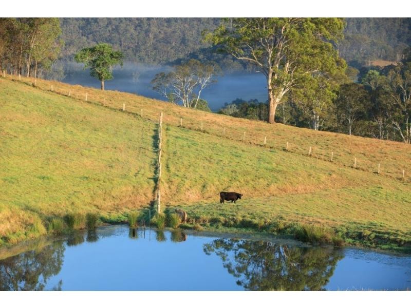 59 Mitchells Road, Mount View NSW 2325