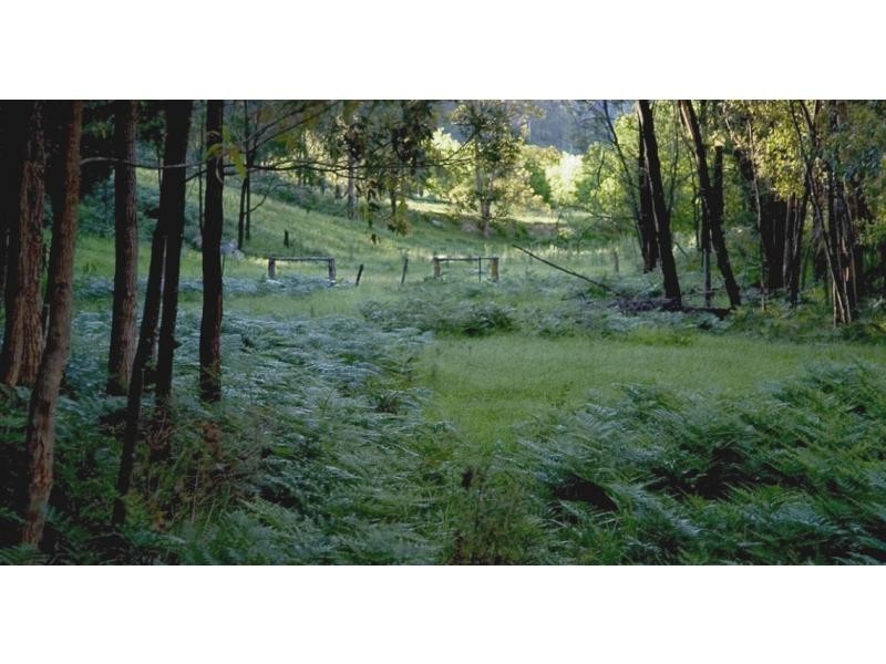 95 Murrays Run Road, Laguna NSW 2325