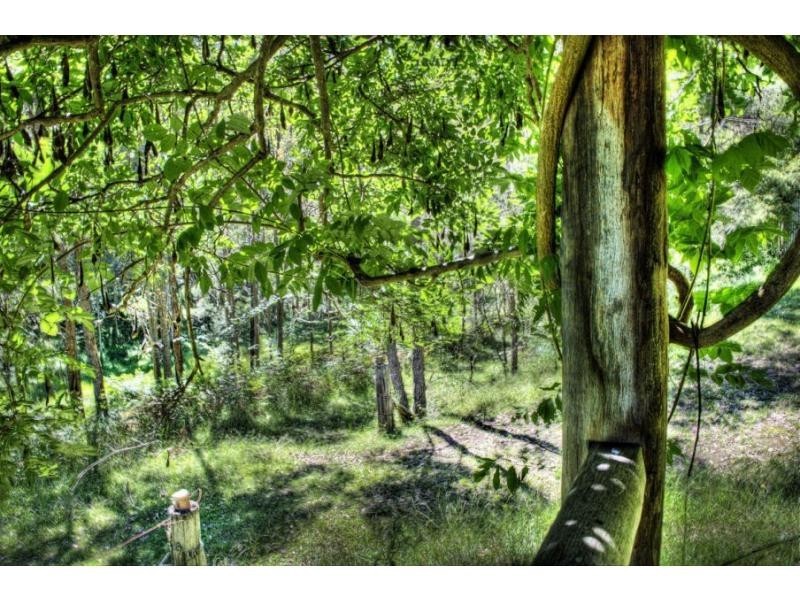 95 Murrays Run Road, Laguna NSW 2325