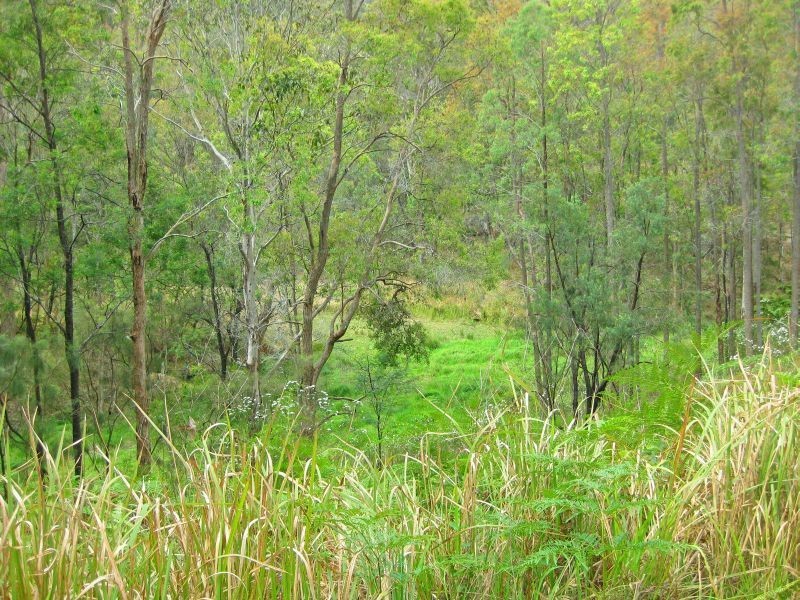 95 Murrays Run Road, Laguna NSW 2325