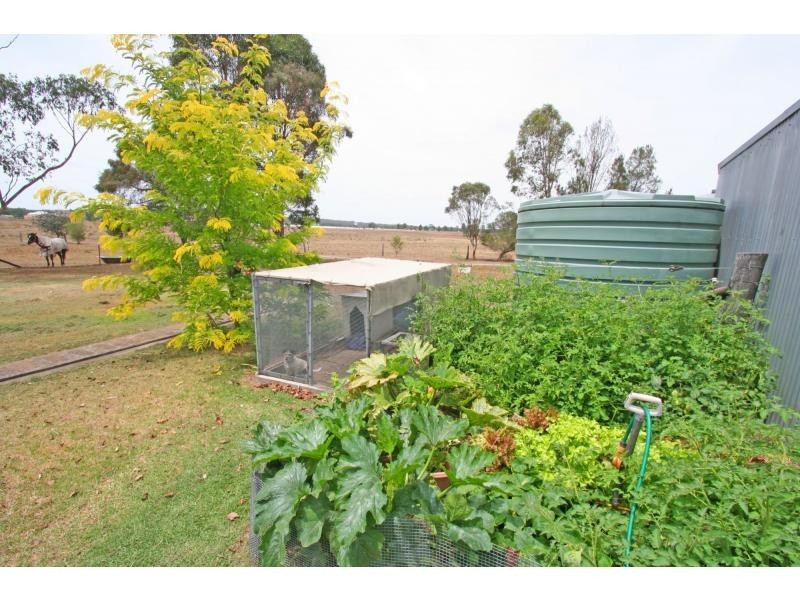 62 Standen Drive, Branxton NSW 2335