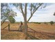 62 Standen Drive, Branxton NSW 2335