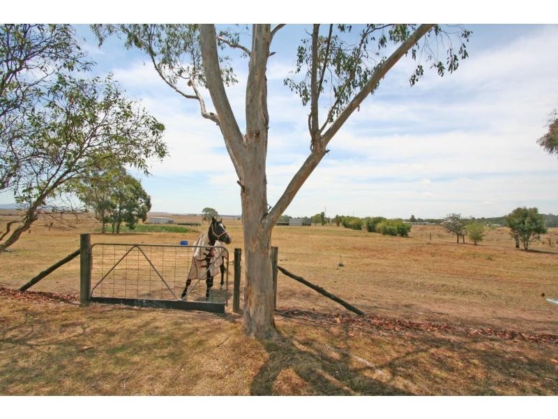 62 Standen Drive, Branxton NSW 2335