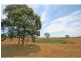 62 Standen Drive, Lower Belford NSW 2335