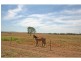 62 Standen Drive, Lower Belford NSW 2335