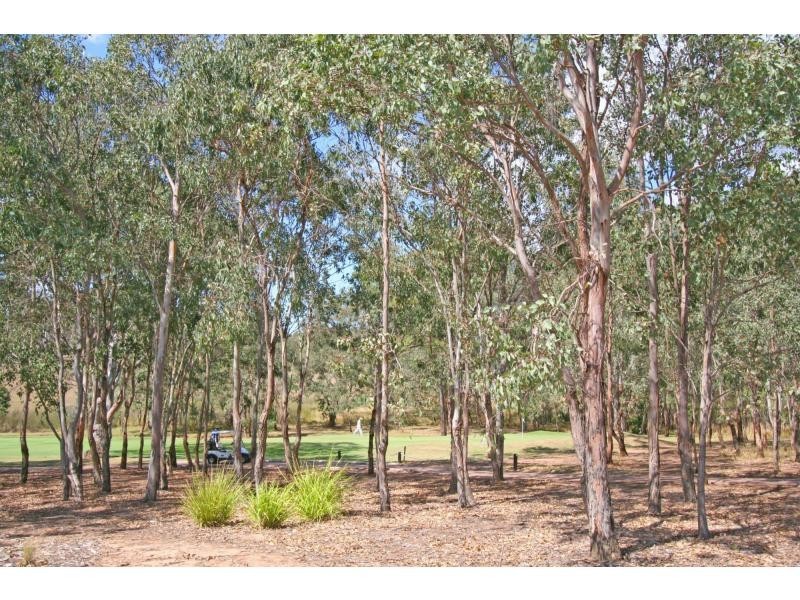 55 Angophora Drive, Rothbury NSW 2320
