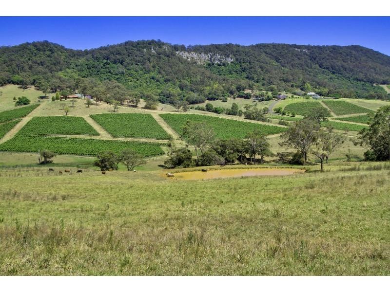 698 Mount View Road, Pokolbin NSW 2320
