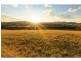276 O’Connors Road, Pokolbin NSW 2320