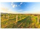 276 O’Connors Road, Pokolbin NSW 2320