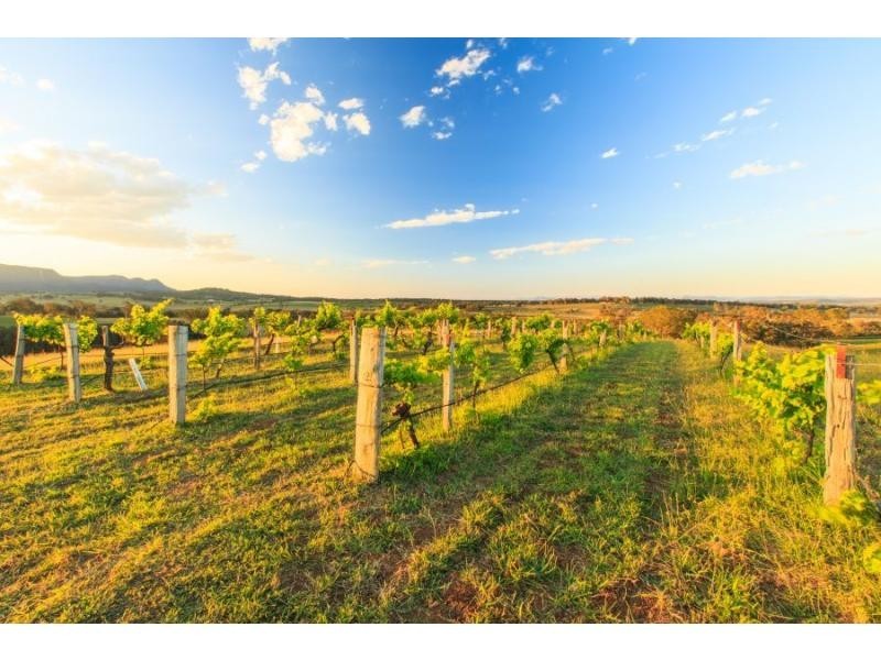 276 O’Connors Road, Pokolbin NSW 2320