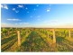 276 O’Connors Road, Pokolbin NSW 2320