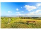 276 O’Connors Road, Pokolbin NSW 2320