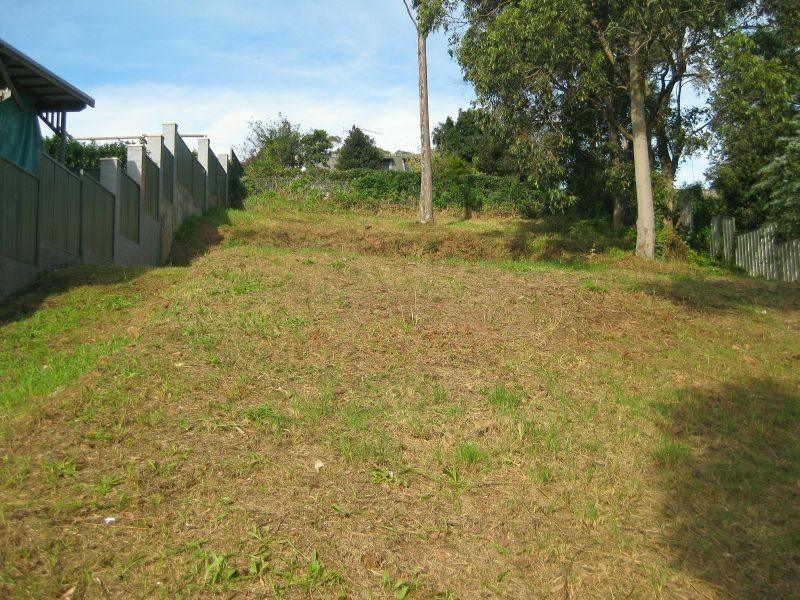 163 Mathieson Street, Bellbird Heights NSW 2325