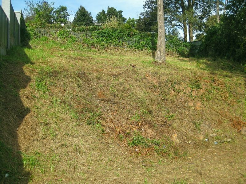 163 Mathieson Street, Bellbird Heights NSW 2325