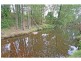 572 Lambs Valley Road, Lambs Valley NSW 2335