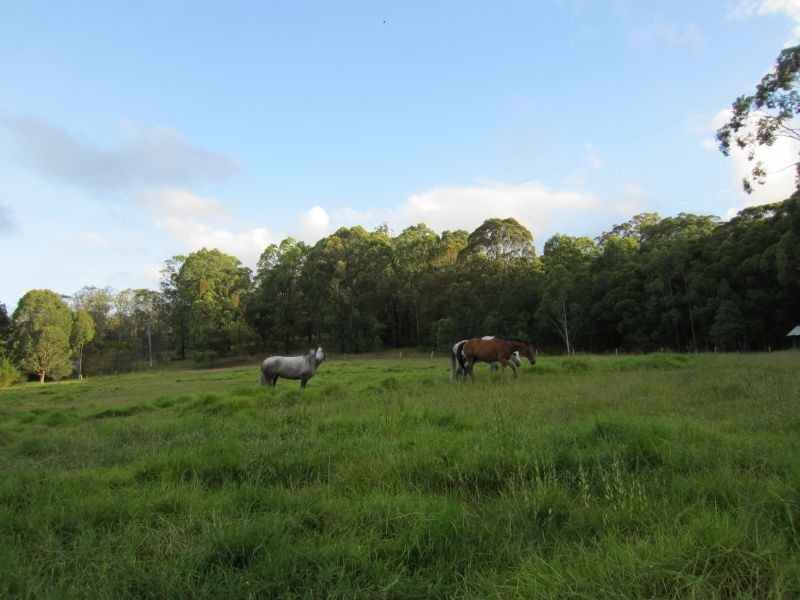 50 Leiberts Lane, Brunkerville NSW 2323