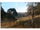 1596 Maitland Vale Road, Lambs Valley NSW 2335