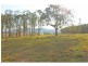 Mount View NSW 2325