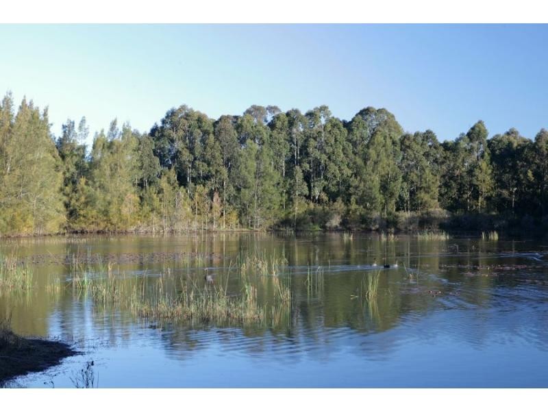 Lot 5 Millfield Road, Paxton NSW 2325