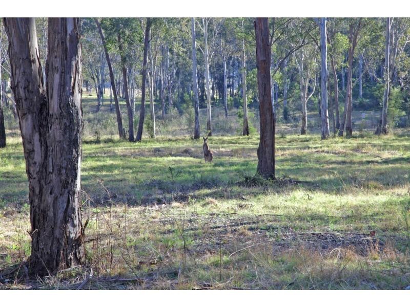 Lot 1 Millfield Road, Paxton NSW 2325