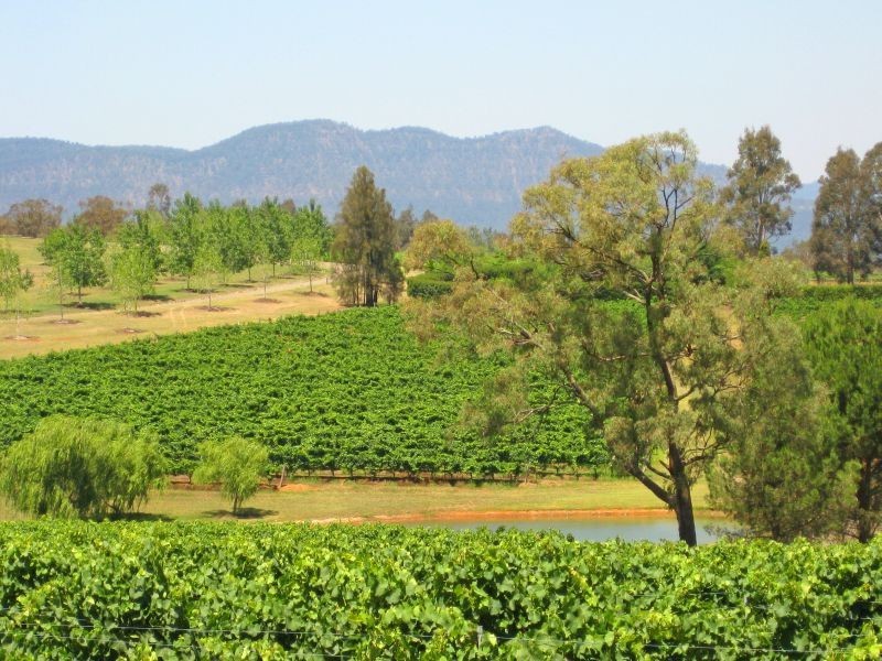 110 Old North Road, Pokolbin NSW 2320