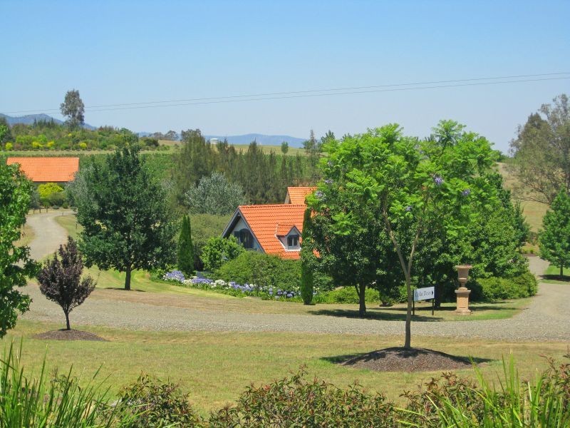 110 Old North Road, Pokolbin NSW 2320
