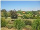 110 Old North Road, Pokolbin NSW 2320