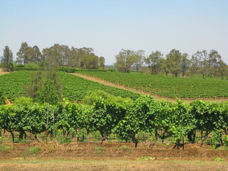 110 Old North Road, Pokolbin NSW 2320