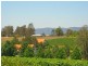 110 Old North Road, Pokolbin NSW 2320