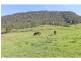 Lot 16 Congewai Road, Congewai NSW 2325