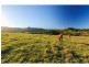 974B Lambs Valley Road, Lambs Valley NSW 2335