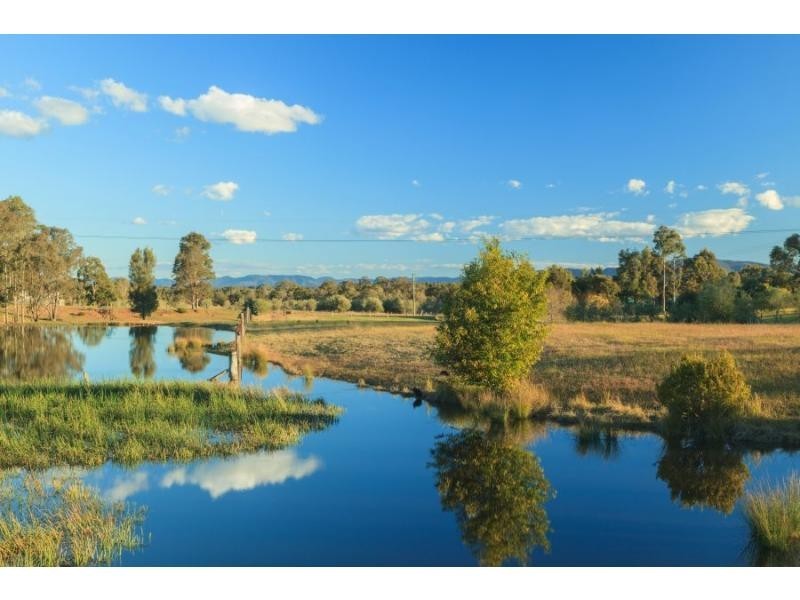 328 Talga Road, Lovedale NSW 2325