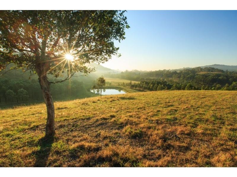 1722 Maitland Vale Road, Lambs Valley NSW 2335