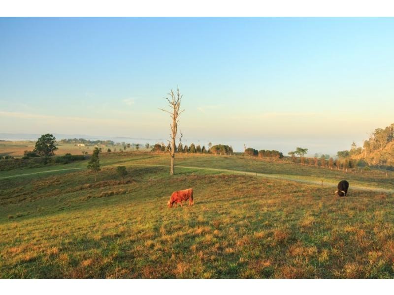 1722 Maitland Vale Road, Lambs Valley NSW 2335